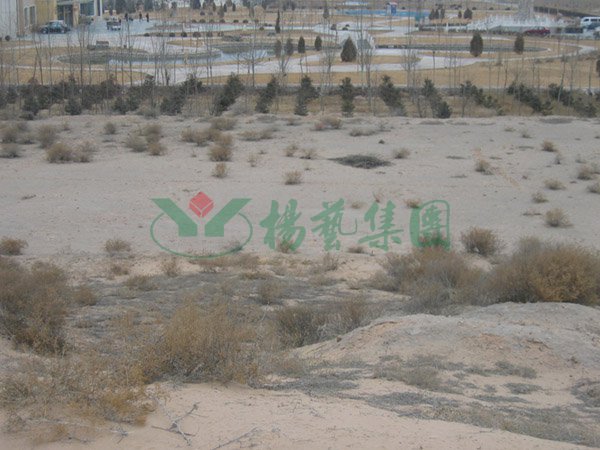 南宫·NG(中国)电子游戏官网