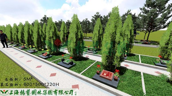 南宫·NG(中国)电子游戏官网