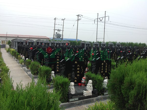 南宫·NG(中国)电子游戏官网