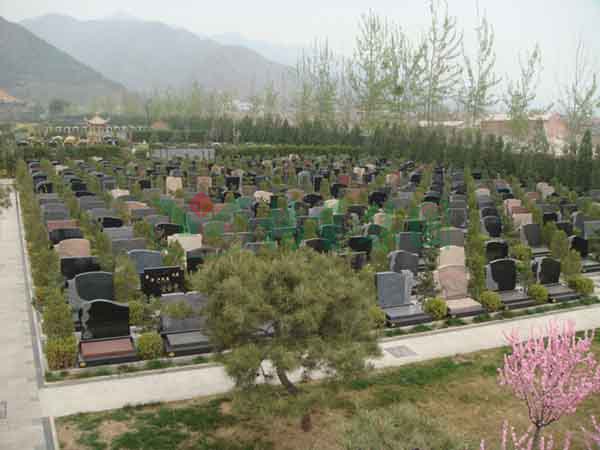 南宫·NG(中国)电子游戏官网