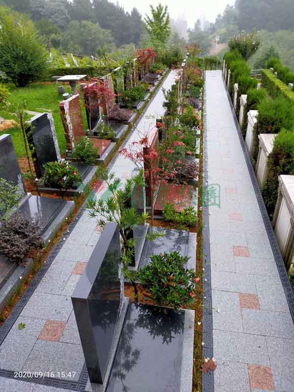 南宫·NG(中国)电子游戏官网