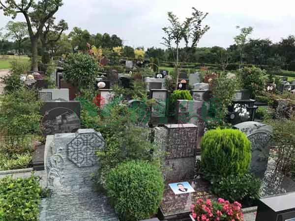 南宫·NG(中国)电子游戏官网