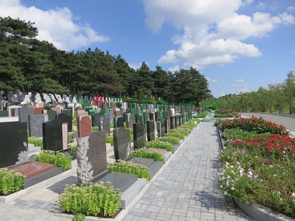 南宫·NG(中国)电子游戏官网