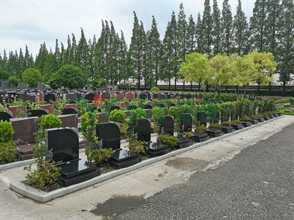 南宫·NG(中国)电子游戏官网