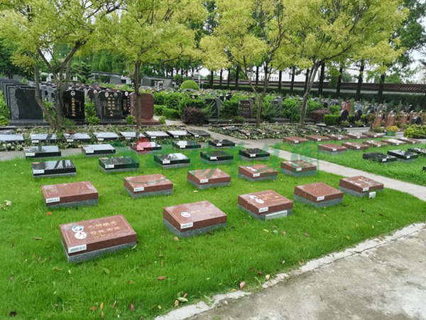 南宫·NG(中国)电子游戏官网