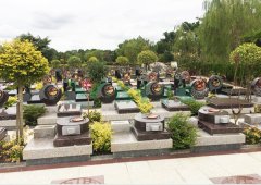 上；懔靶腔鹎