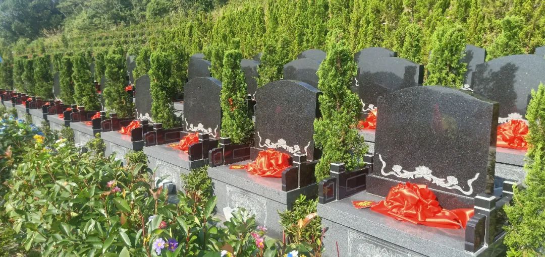 南宫·NG(中国)电子游戏官网