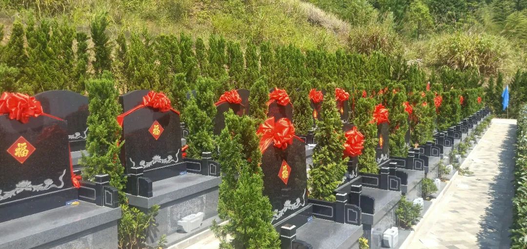 南宫·NG(中国)电子游戏官网