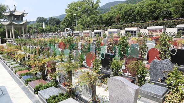 南宫·NG(中国)电子游戏官网