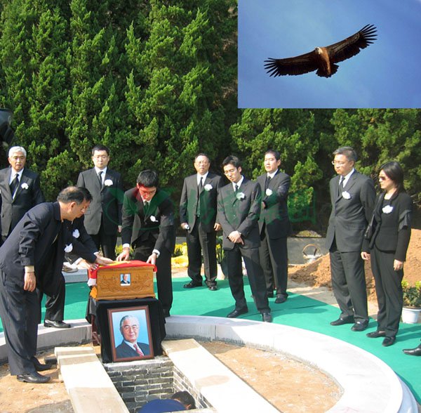 南宫·NG(中国)电子游戏官网