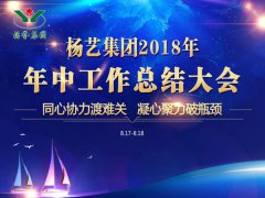 南宫电子游戏集团2018年中总结汇报（提要）