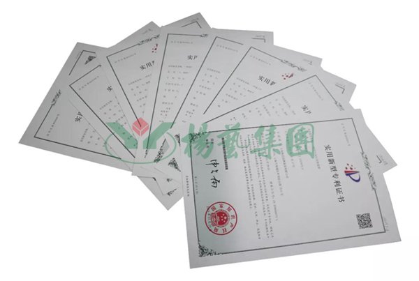 1-220104135G0H2 南宫·NG(中国)电子游戏官网