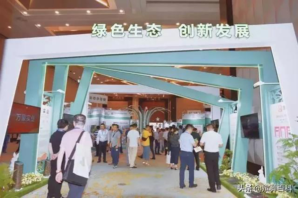 南宫·NG(中国)电子游戏官网