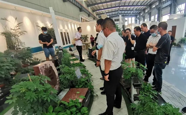 南宫·NG(中国)电子游戏官网