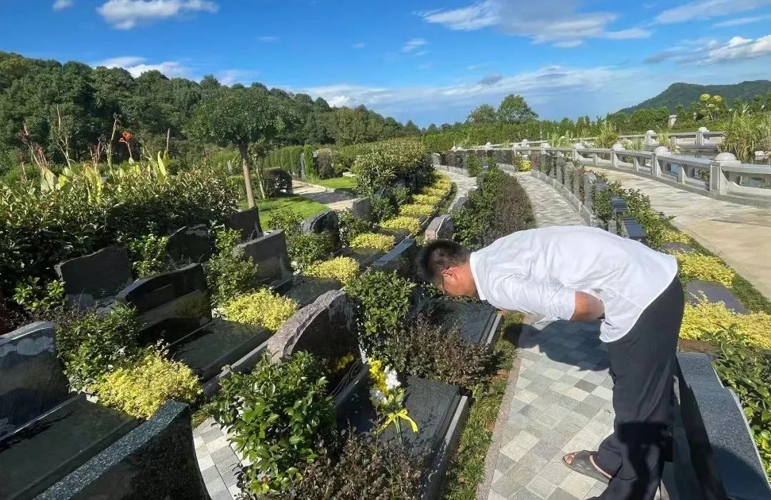 南宫·NG(中国)电子游戏官网