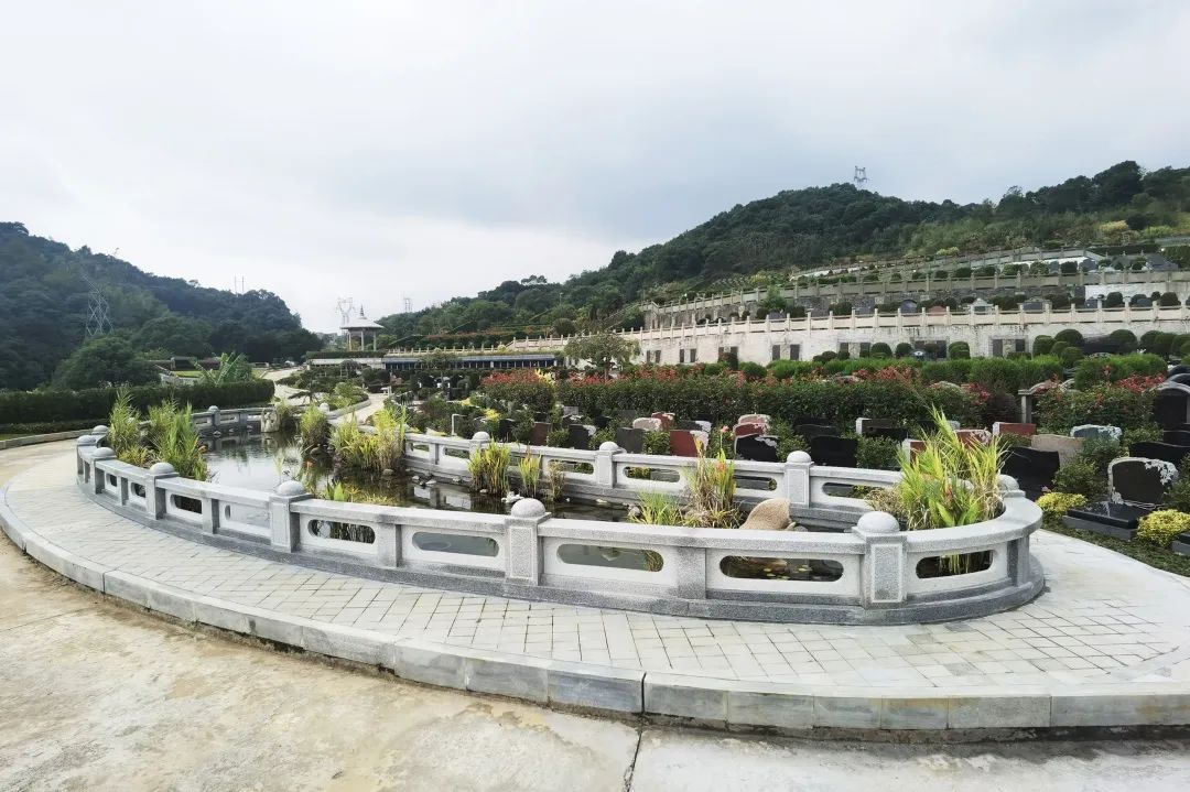 1-220P30T6262G 南宫·NG(中国)电子游戏官网