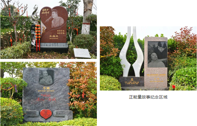 南宫·NG(中国)电子游戏官网