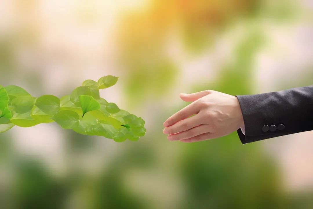 南宫·NG(中国)电子游戏官网