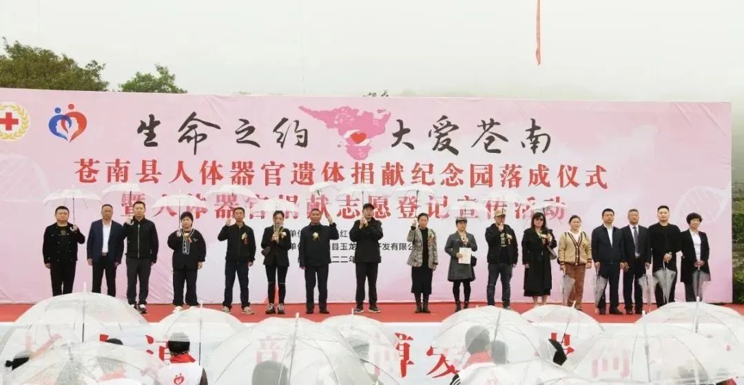南宫·NG(中国)电子游戏官网