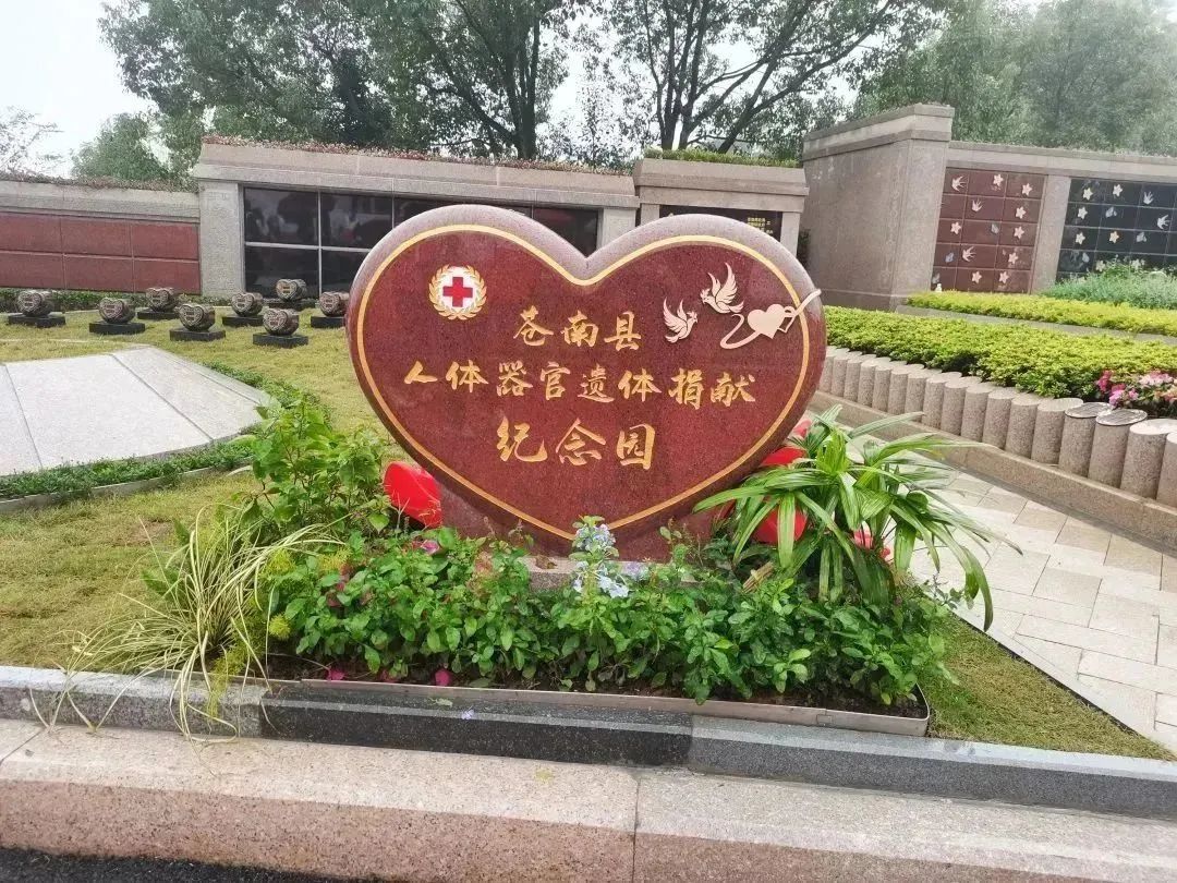 南宫·NG(中国)电子游戏官网