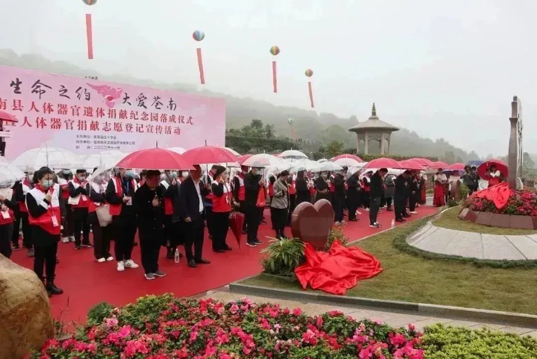 南宫·NG(中国)电子游戏官网