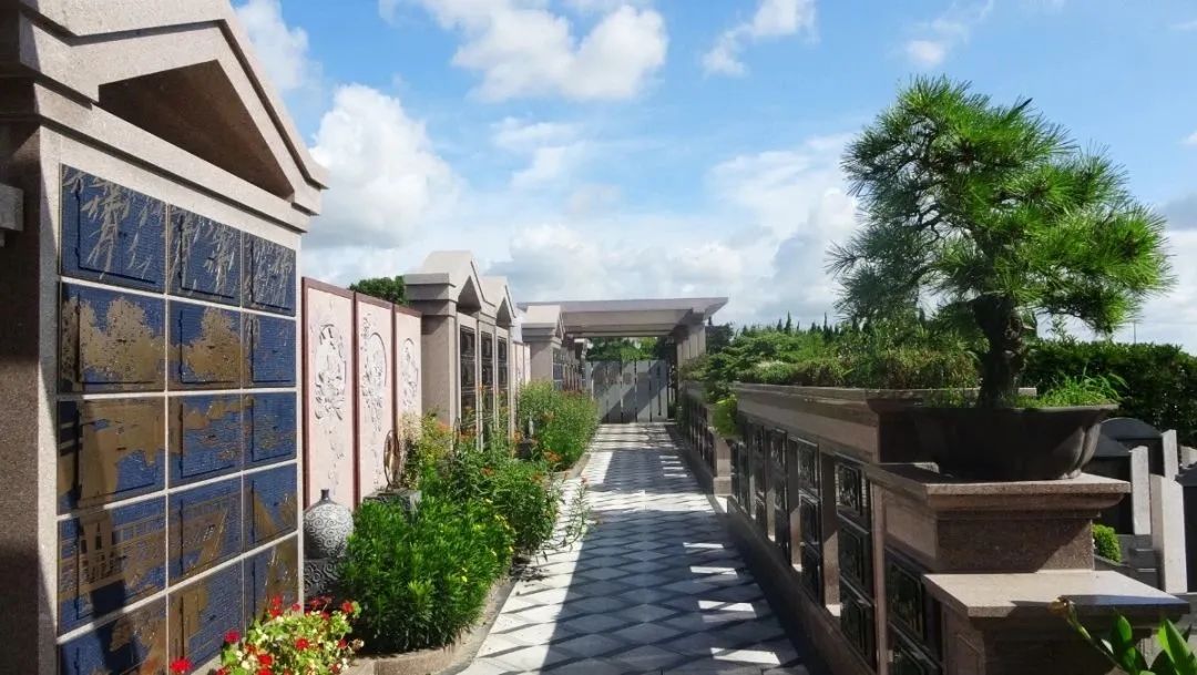 南宫·NG(中国)电子游戏官网