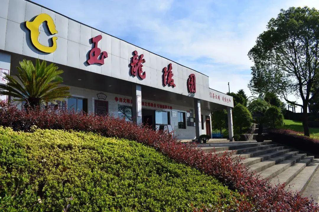 南宫·NG(中国)电子游戏官网