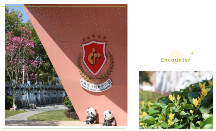 南宫·NG(中国)电子游戏官网