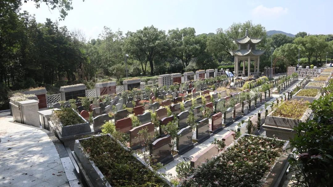南宫·NG(中国)电子游戏官网