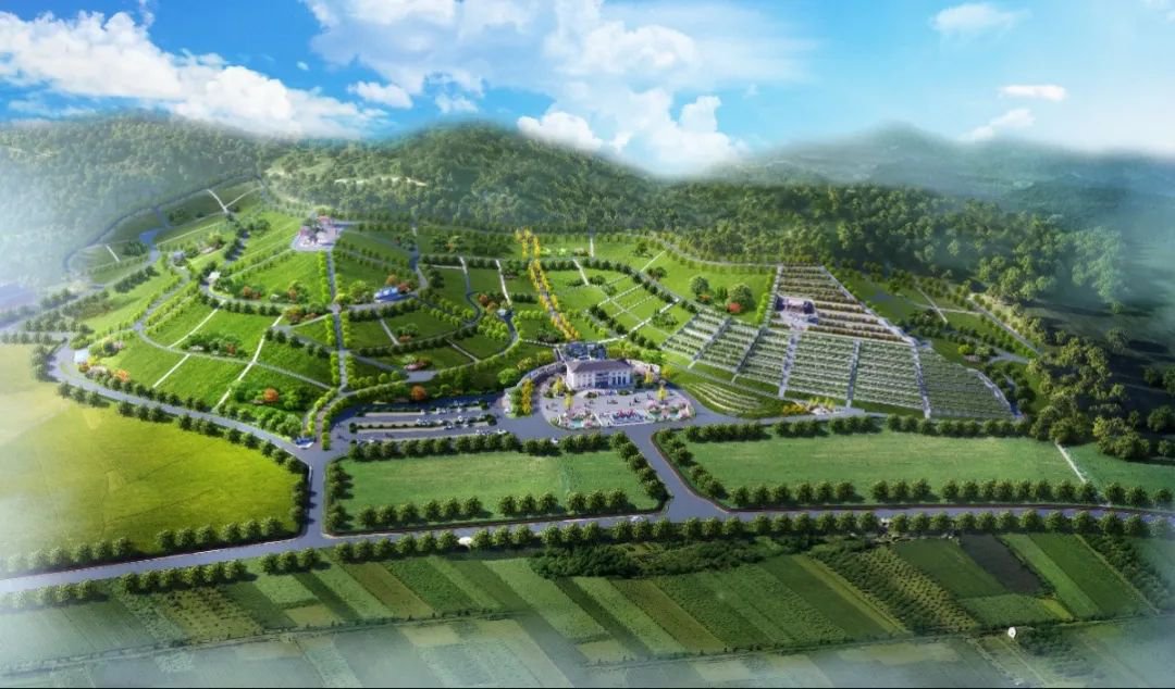 南宫·NG(中国)电子游戏官网