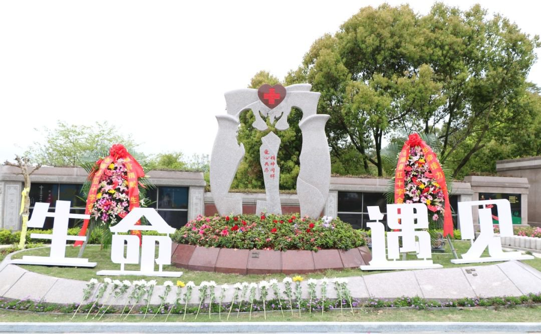 南宫·NG(中国)电子游戏官网