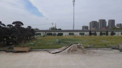 老墓园微刷新，助力城市人文关切