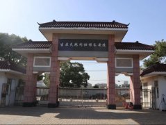微刷新，为老墓园增添一抹新“绿”