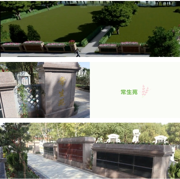 南宫·NG(中国)电子游戏官网