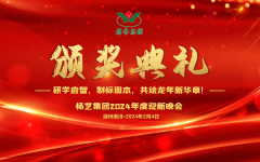 2024年南宫电子游戏集团迎新春年会暨颁奖典礼盛猛进行