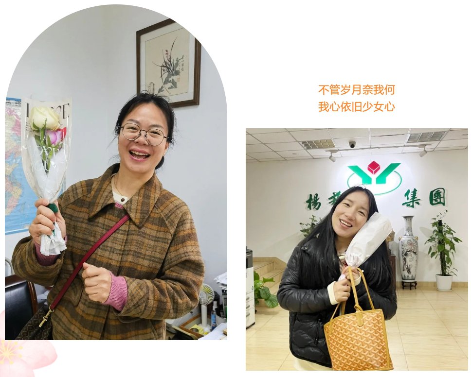 1-24030913114E91 南宫·NG(中国)电子游戏官网