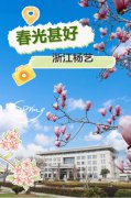 春分之韵|南宫电子游戏邀您共享春景
