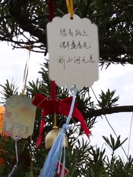 南宫·NG(中国)电子游戏官网