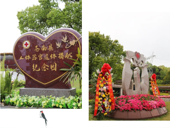 南宫·NG(中国)电子游戏官网