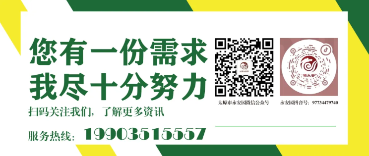 南宫·NG(中国)电子游戏官网