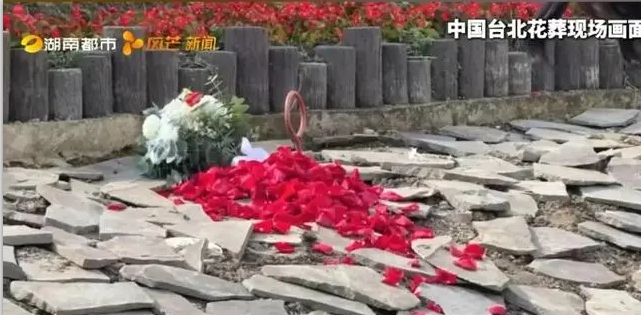 1-2412160T9544P 南宫·NG(中国)电子游戏官网