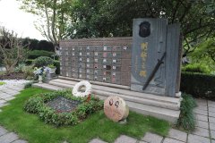 致敬“安然卫士”，铭刻“刑警之魂”