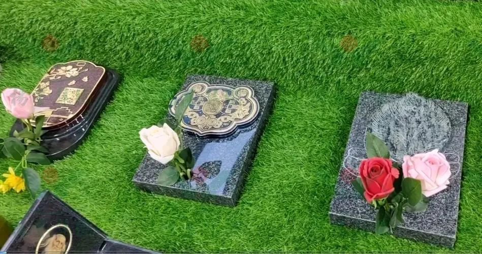 1-250215092T2236 南宫·NG(中国)电子游戏官网