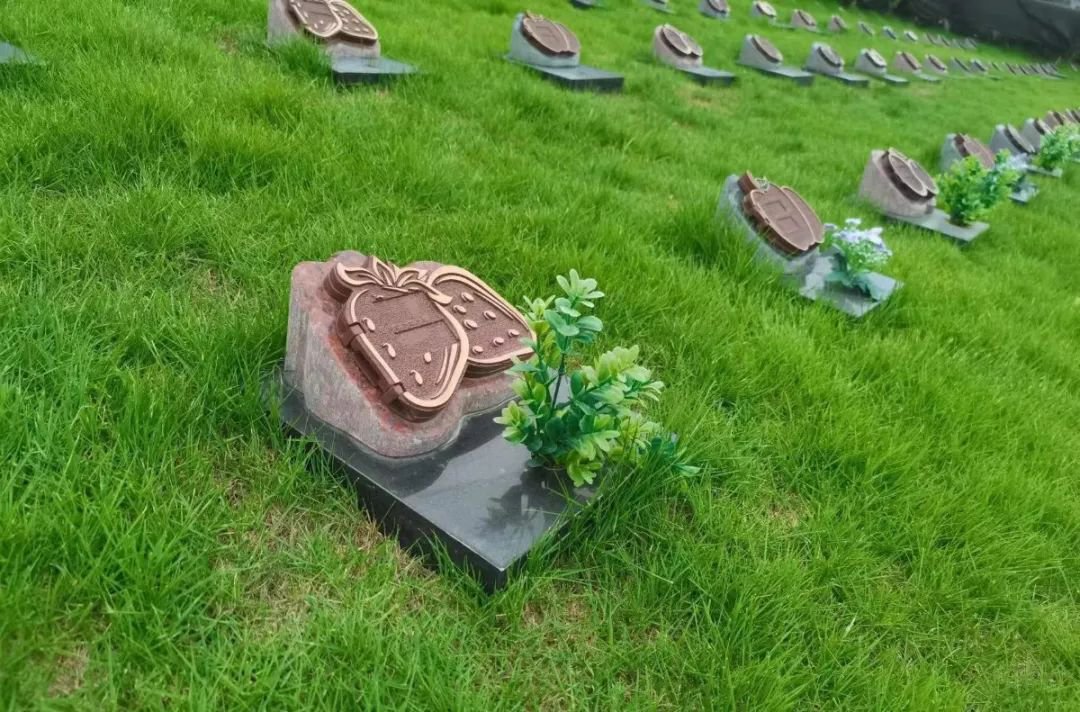 南宫·NG(中国)电子游戏官网