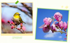 春启南宫电子游戏