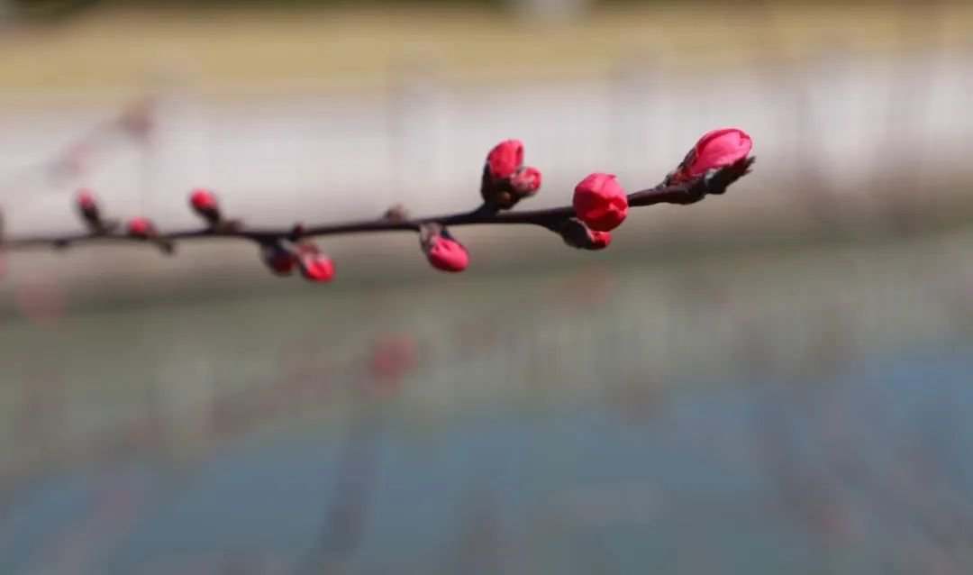 南宫·NG(中国)电子游戏官网