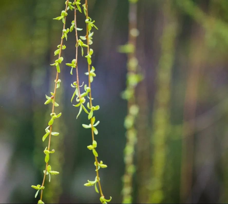 南宫·NG(中国)电子游戏官网