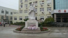 石雕匠心，镌刻医者风华