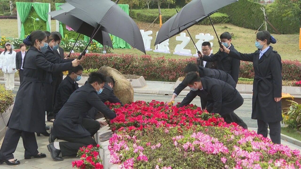 1-251029135450O9 南宫·NG(中国)电子游戏官网