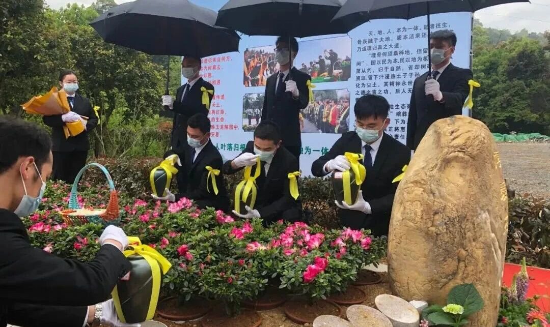 1-2510291356112C 南宫·NG(中国)电子游戏官网